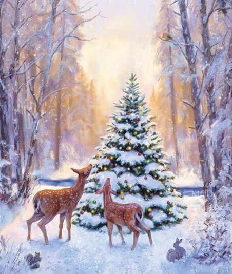 249208265_3071746309729832_4370087533627760930_n (1)