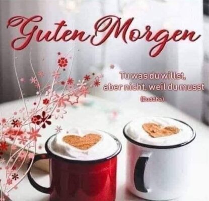 e14e27a3ddde831a6111095e428e53df.jpeg-580x559