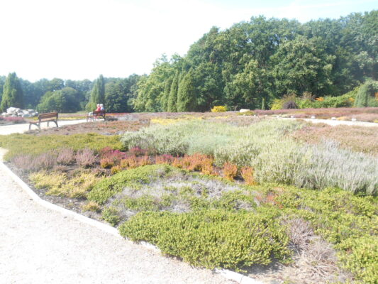 Bilder emmchem 013
