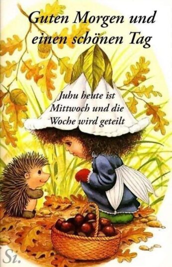 311444289_190469576788935_1768749438735962651_n (2)