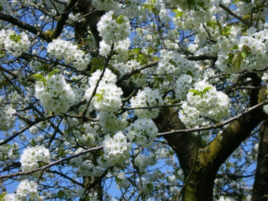 6. April 2009 Osterwoche 060