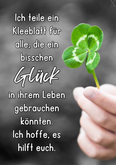 312480594_656248786148804_3608749747622825726_n