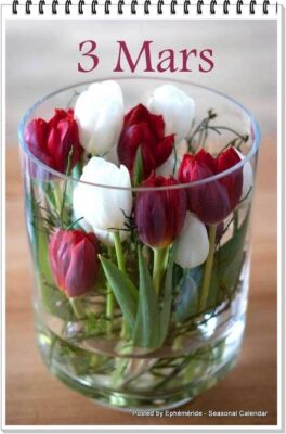 417543238_829224452573192_4562501897016365492_n