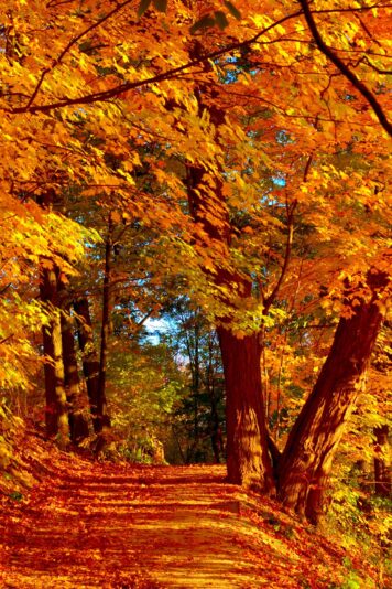 40986b94651a6771973c00a6cb3fc796