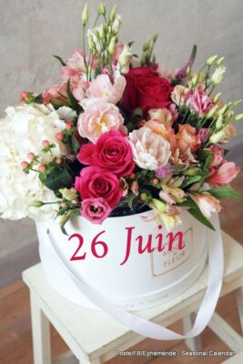 26.juni
