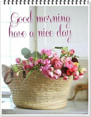 363350504_706038424891796_3456073122663492444_n