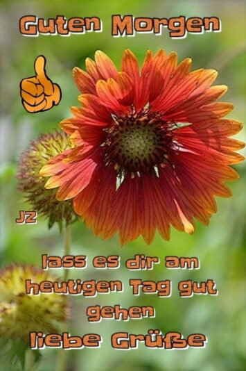 295078825_1234503563989782_7384231038689881710_n