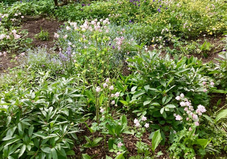 1B1EC6F2-EDB2-4024-92A9-7D9D956A5343