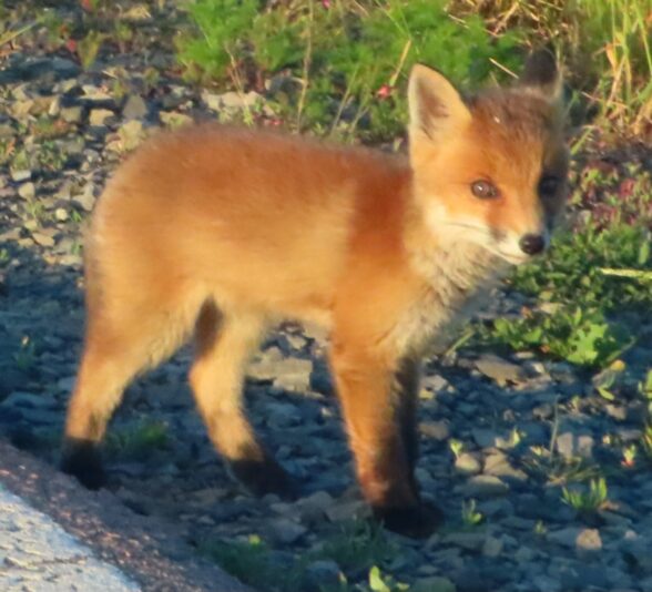 20230530181830_IMG_9109