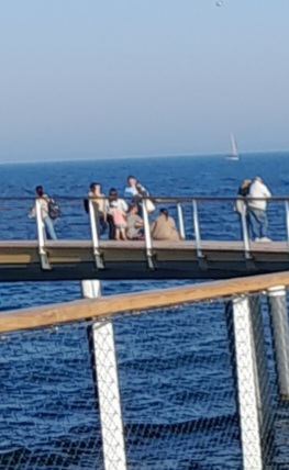 Screenshot_20240926_140913_Gallery