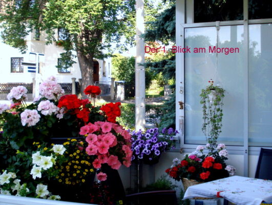 Der 1. Blick am Morgen