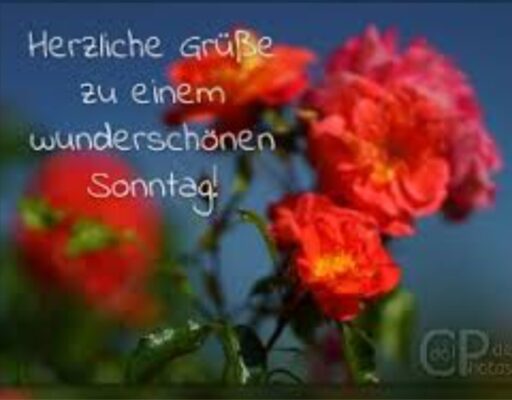 Gallery_1755405168913