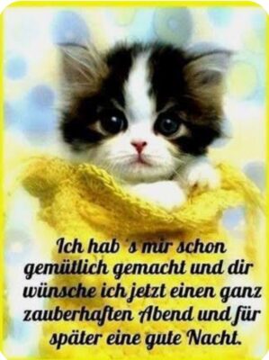 Gallery_1759937779628