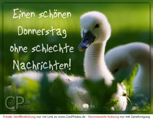 0524_09670_donnerstagsgruesse