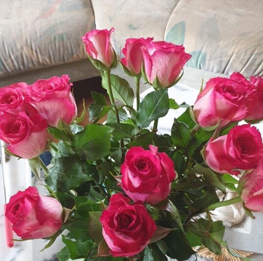 440063788_1185678522806987_1519780503312296055_n