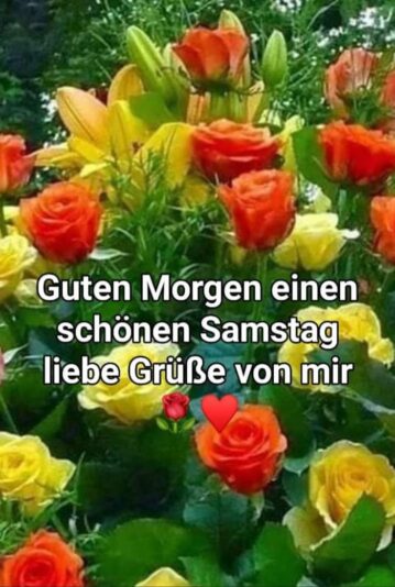 438161922_459907736484764_5432182562352476456_n