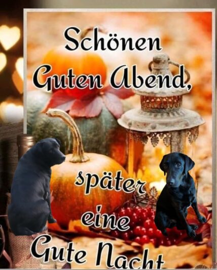 821c1b3e3af2026ba2c7fdf2edb9f694 (2)