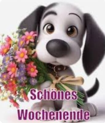 Screenshot_20251227_051214_Google