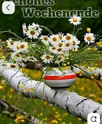 bc02a688-ede6-4467-a3c1-d28f25a736f1