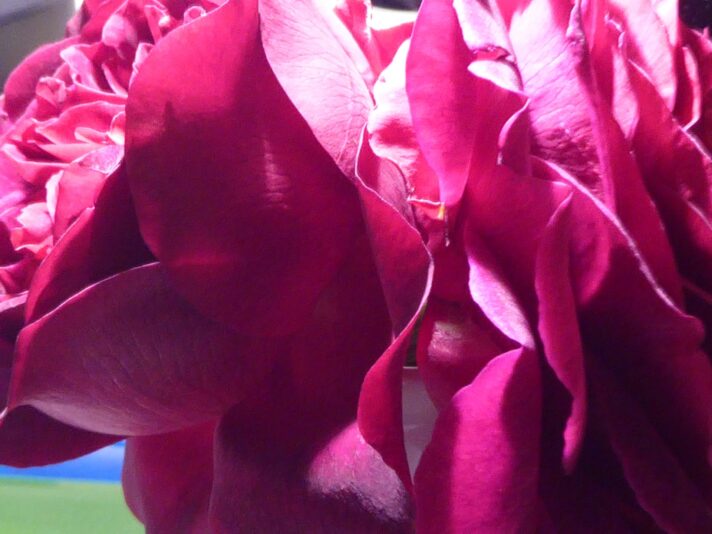 2.10.2021 Geburtstag (168)