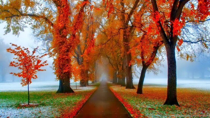 985532_november-poland-hd-wallpaper-get-it-now_2048x1361_h