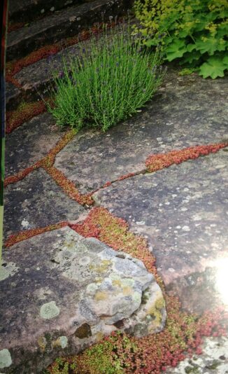 IMG_20200703_181117490