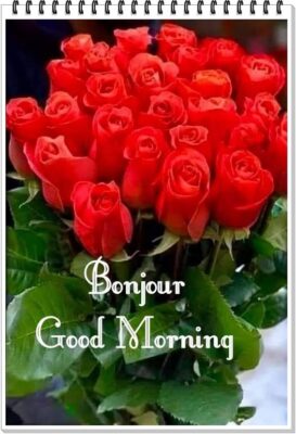 519545641_1227018722793761_1630285749871782583_n