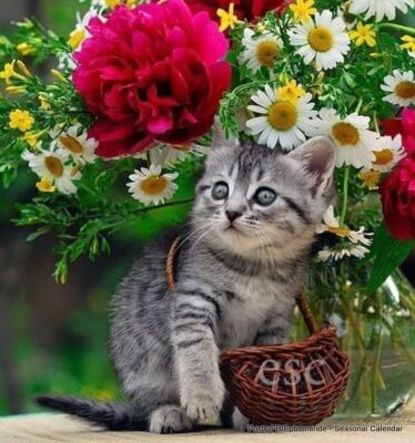 440959947_1234789744352167_3425772658963897264_n