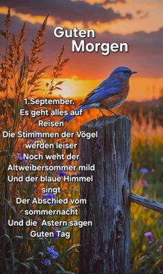 FB_IMG_1756716509742