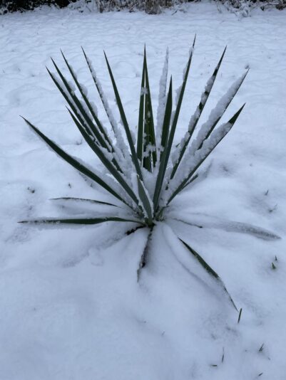 007D4042-72EF-4425-9249-28F5C2903A98