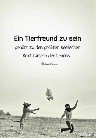 7fd09b15d5e0fd3c85201bacb7e0f724