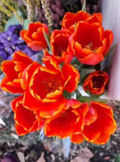 153835488_110543794392635_5553987239436117029_o