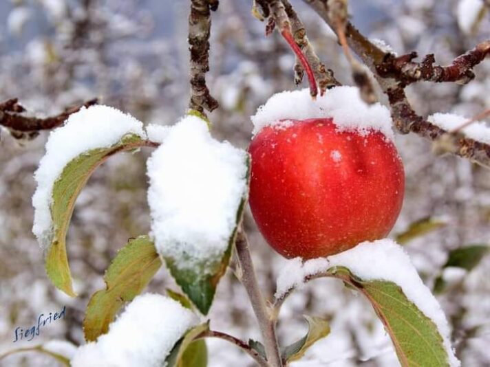 316965850_1530456554069261_885123197551196432_n