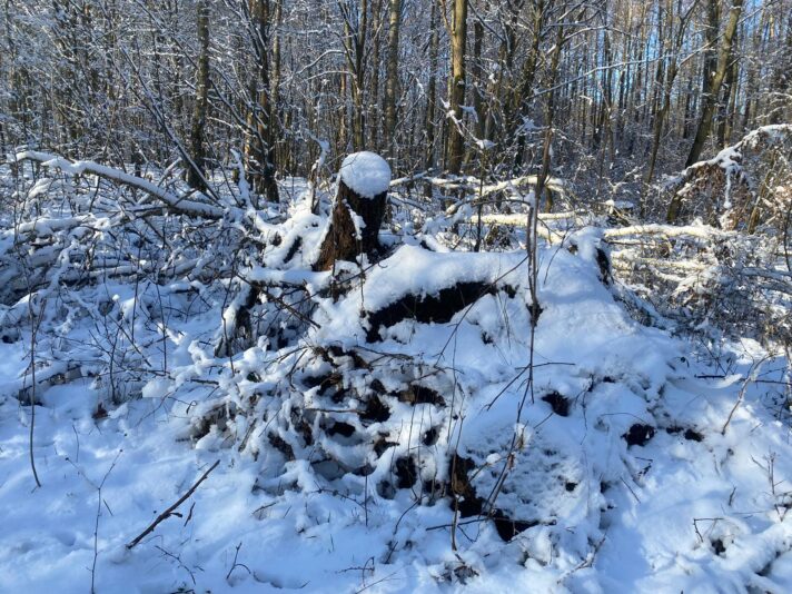 144469348_490037892395323_3018124974062950683_o