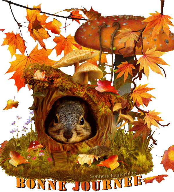 bbd6a15d3f7b87e103d8c0418d957a07