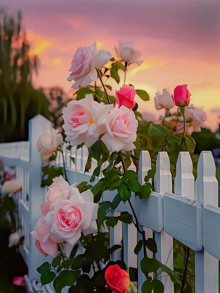 be980047-44a0-452f-bbfe-fec495f3bd14