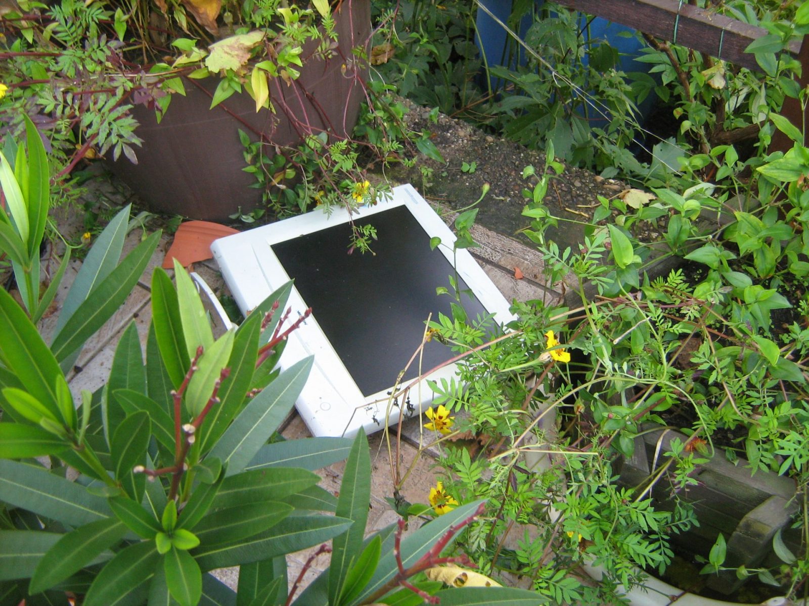 bildschirm im grünen