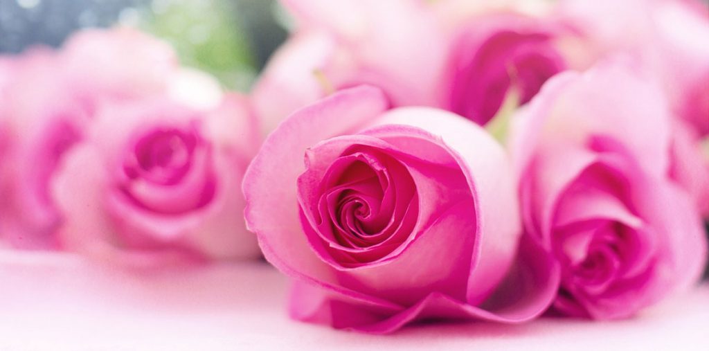 Blumen zur goldenen Hochzeit