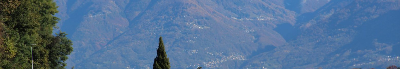 Doppelkopf - Skat (München)