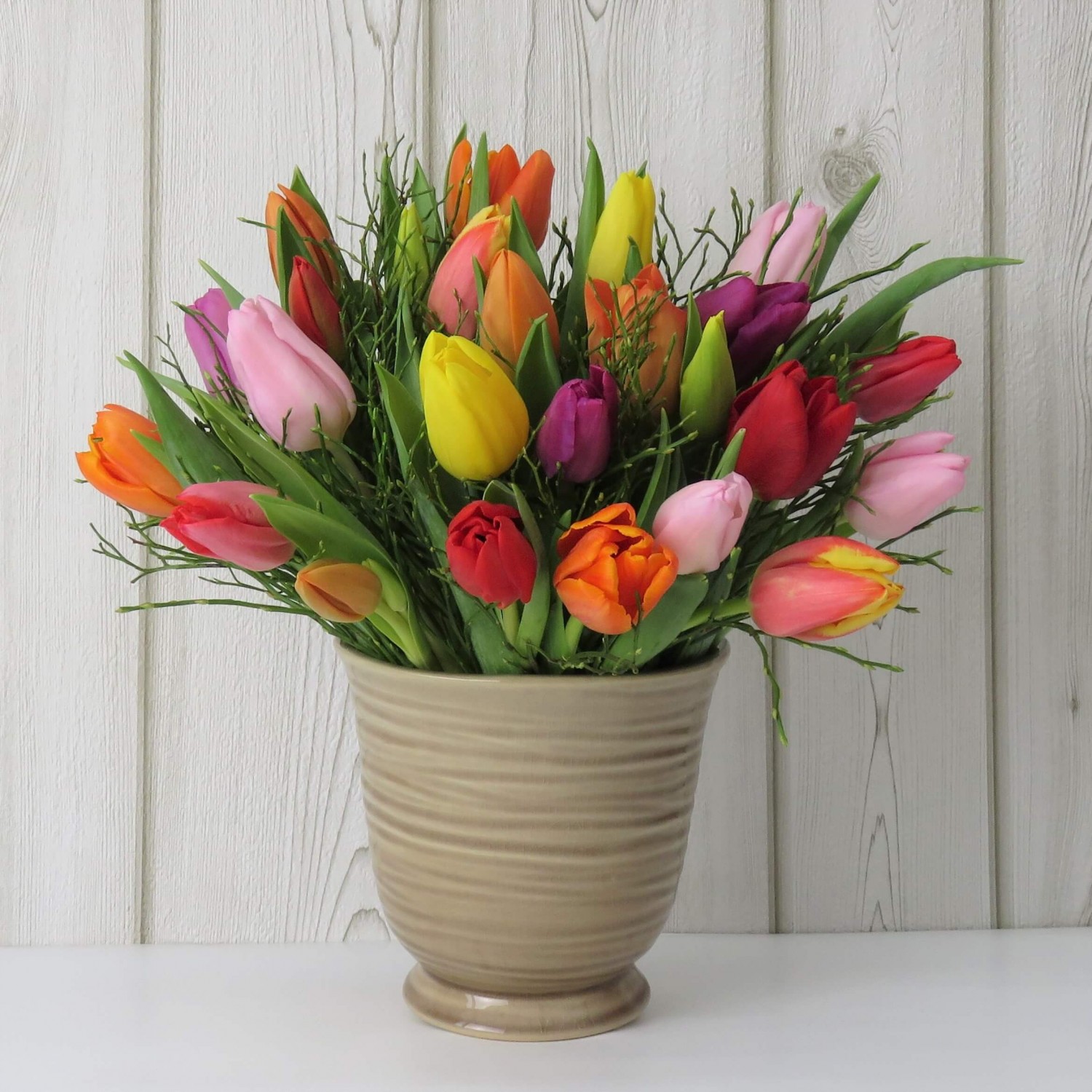 bunte_tulpen