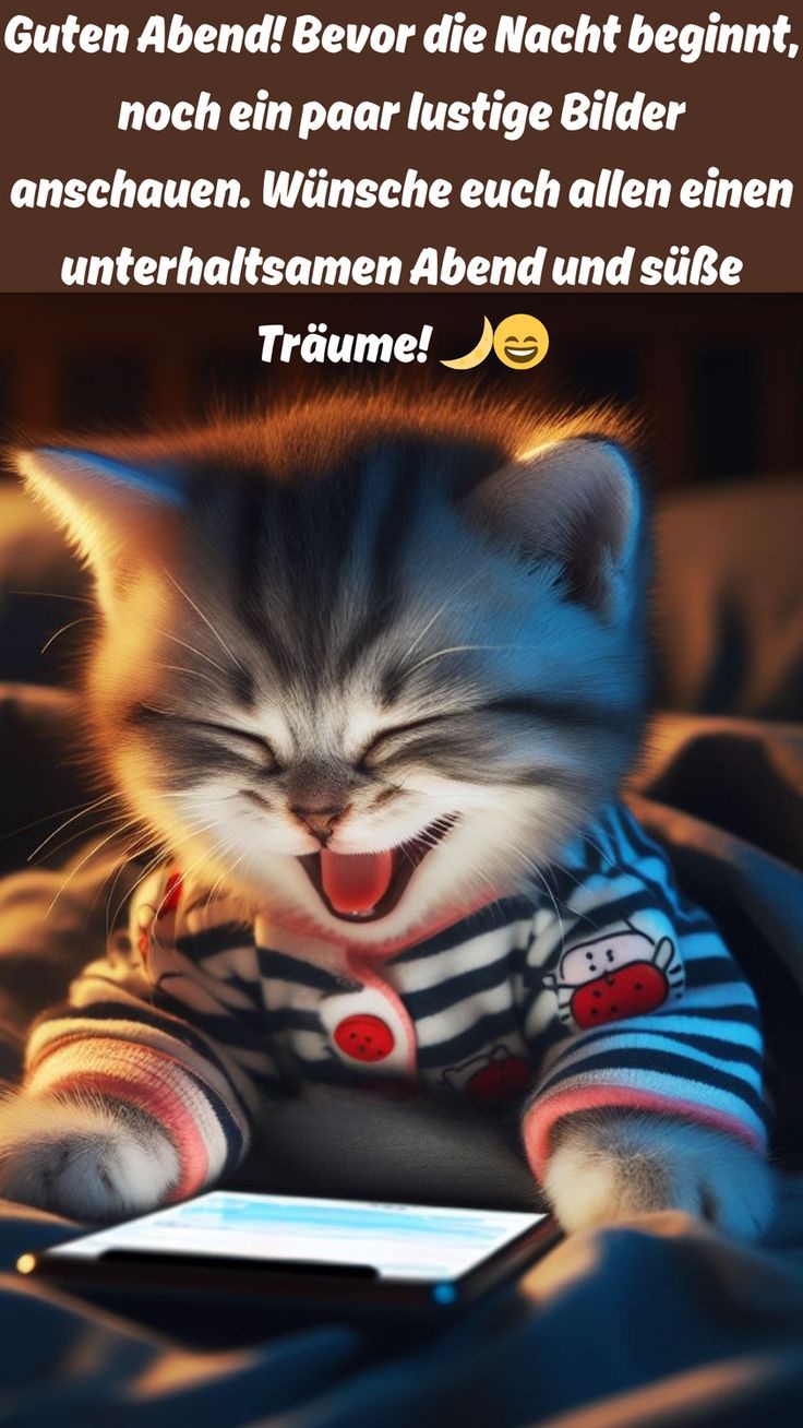 c1963d94611dbf647c7ec8a79a03fd8c