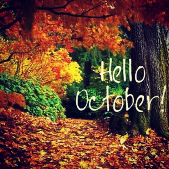 c2ff68c227d309cadf73c35c987f9b34