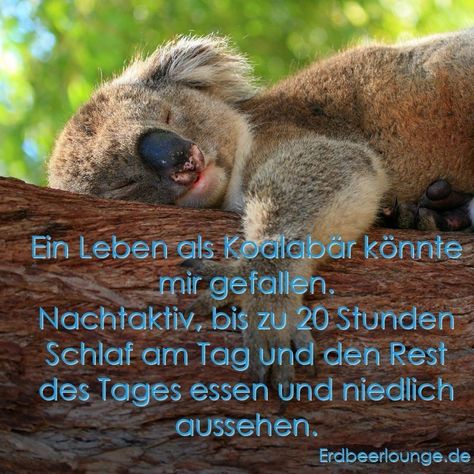 c615d106eba1fe0128ddcbcbc7d6c7ea