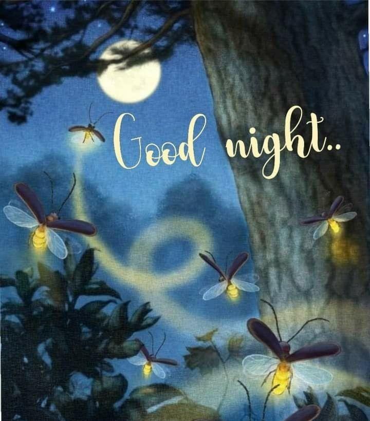 c7ca5594-c86e-40a6-8355-59eb71414995