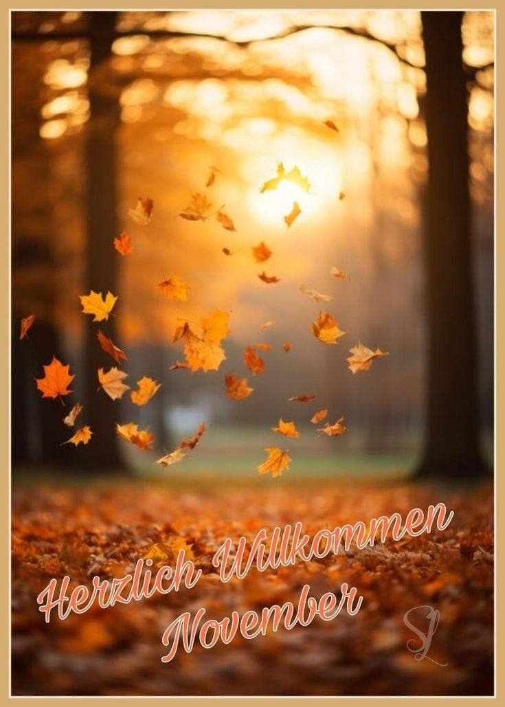 c944bbcc8a07c5fce8588a4beb7ebf9c