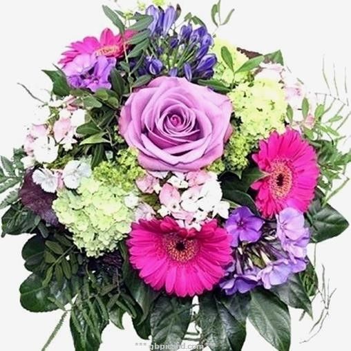 cd6f695df162696a21663d1b5000d319