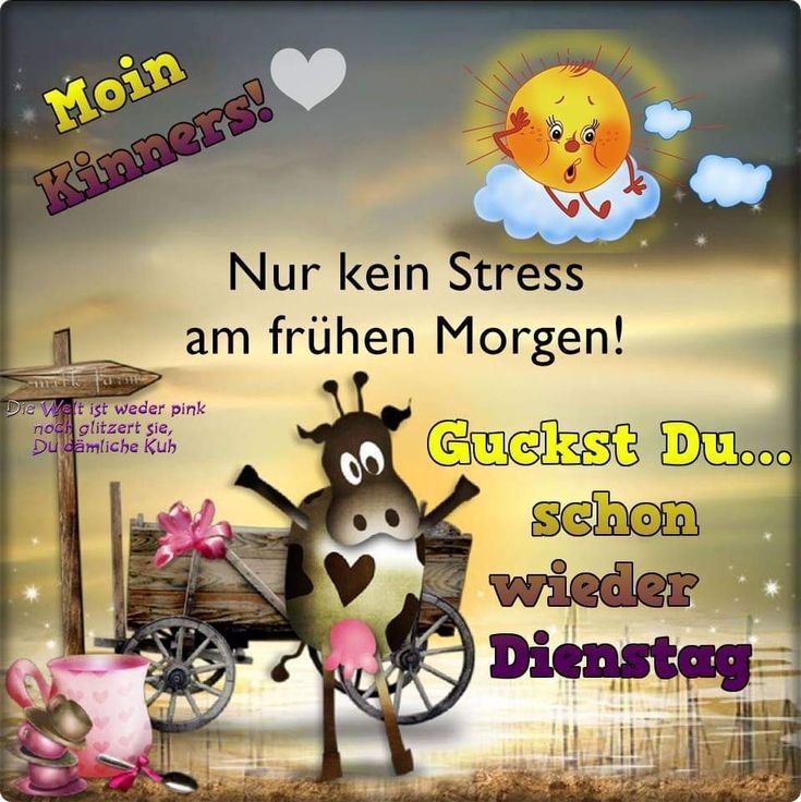 cdda608a32c53107f8a895c77809a841