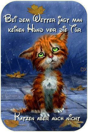 d1db5e498127ae910197425b796ffb1c