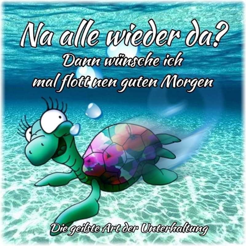 d3730f3537a1fad488b50da5f920a78a