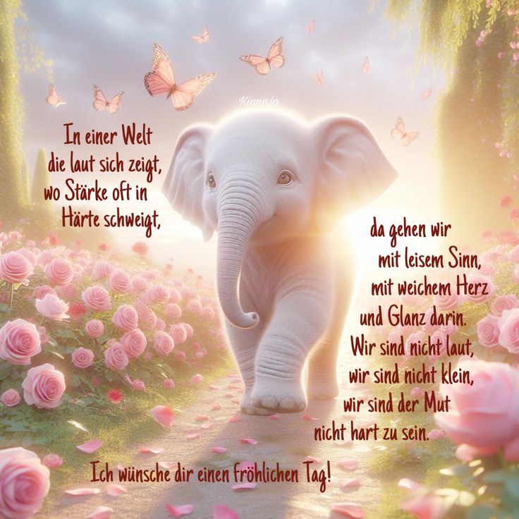 d4968910e4fa4cf8d382e00cbd1c7703